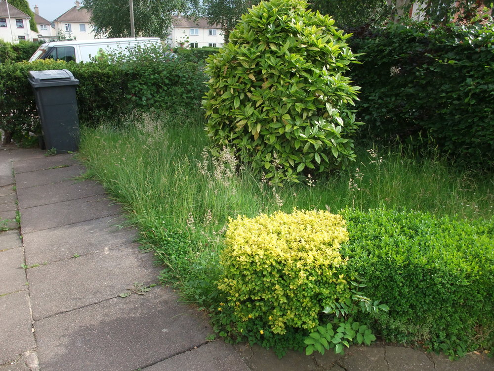 dscf6420.jpg